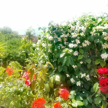 Rubis-vue à Couper Le Souflle Villa