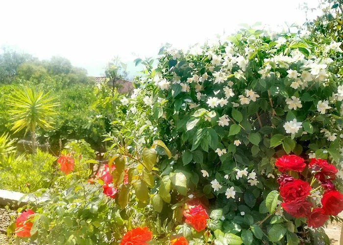 Rubis-vue A Couper Le Souflle Villa